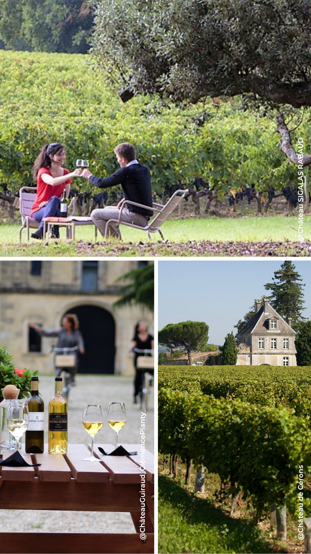 sauternes